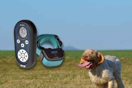 Těžko na cvičišti, lehko na bojišti aneb Jak sprejové obojky usnadní výcvik psů