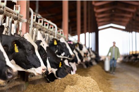 Moderní technologie pro zemědělství: Monitoring a automatizace mění hru