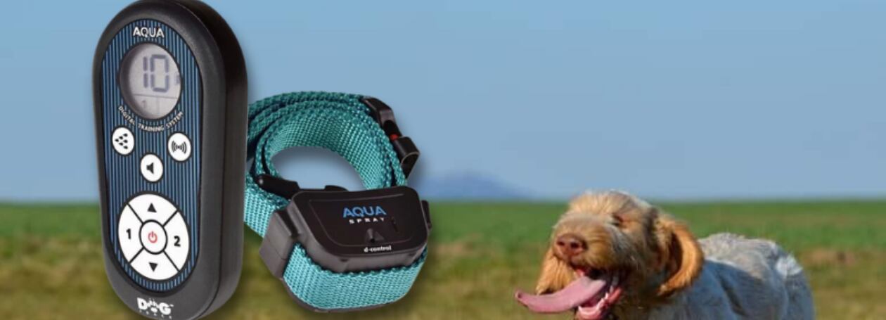 Těžko na cvičišti, lehko na bojišti aneb Jak sprejové obojky usnadní výcvik psů