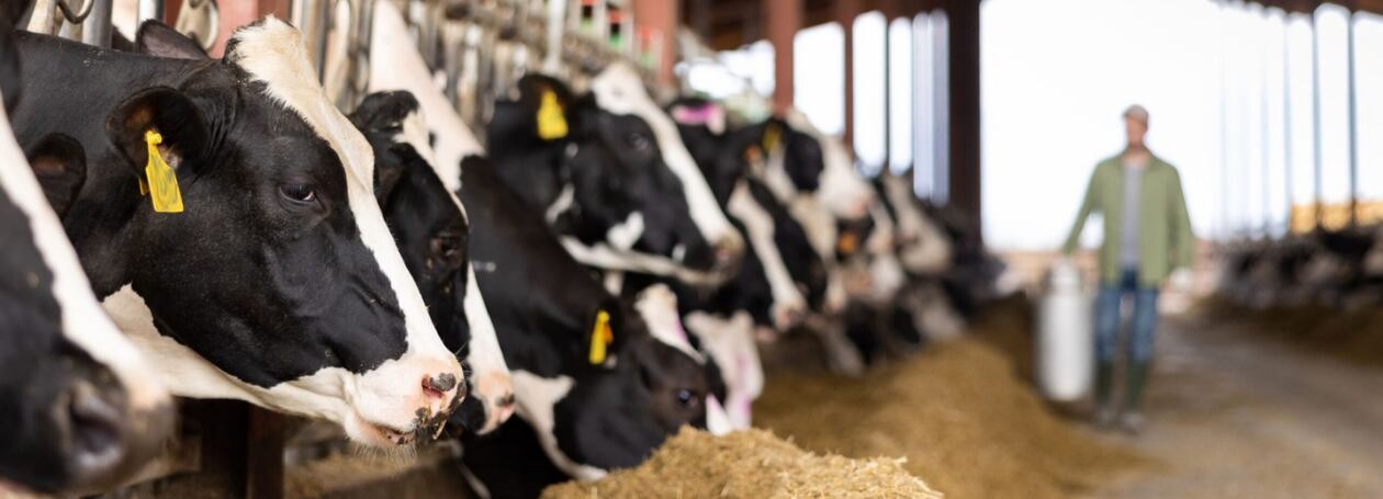 Moderní technologie pro zemědělství: Monitoring a automatizace mění hru