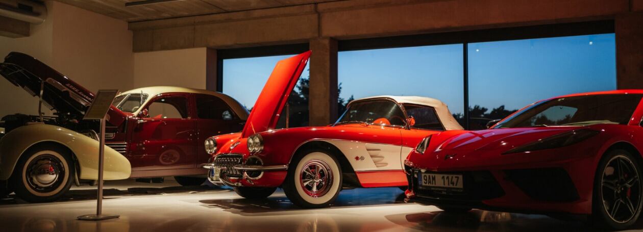 Chytré osvětlení pro muzea a galerie: Exponáty v tom nejlepším světle