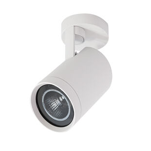 TERES EXTE CEILING