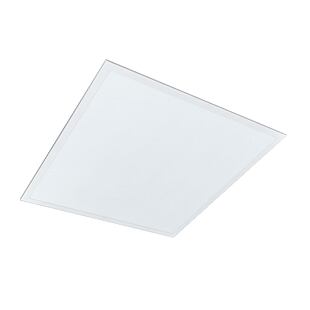 ABSENT ESSENTIAL DPL